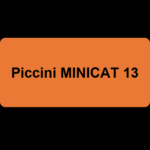 Piccini MINICAT 13
